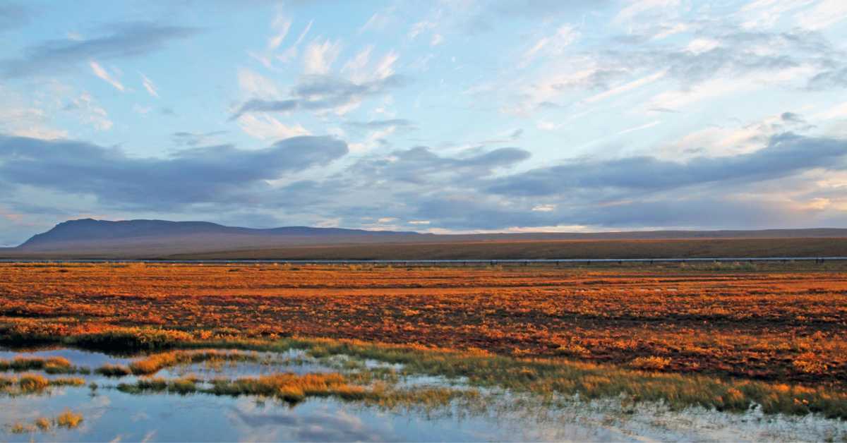 Alaska’s Dalton Highway: Introduction and Practicalities