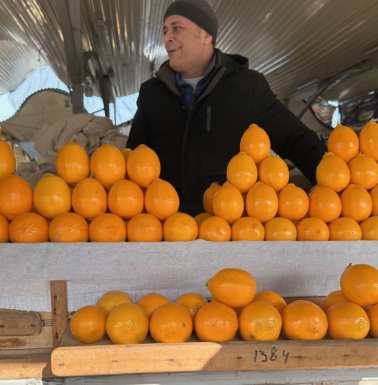 I think these are lemons.