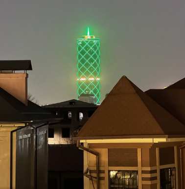 One of my new Tashkent neighbors winked goodbye in changing colors.