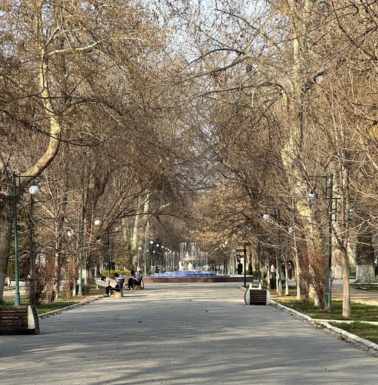 Afternoon strolling along University Boulevard.
