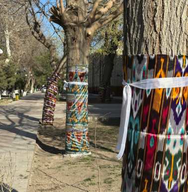 Dressed up trees along a Bukhara street.